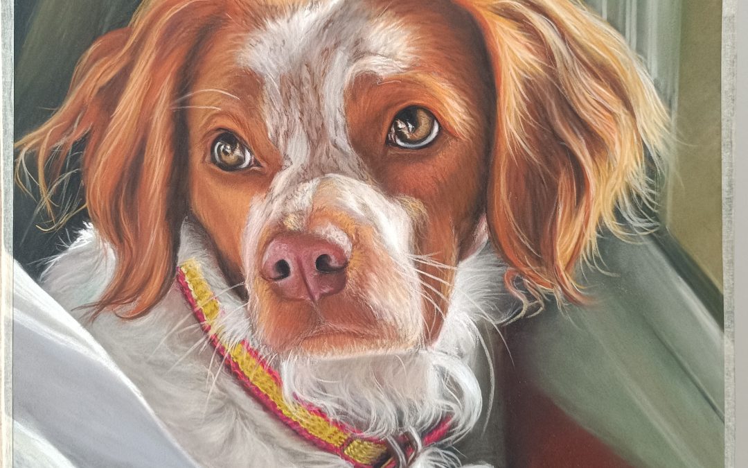 Retrato de mascota por encargo