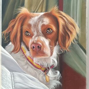 Retrato de Mascota-vendida.